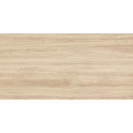 ZGD 60084 VIKING BEIGE 60X30 1,26m2/doboz