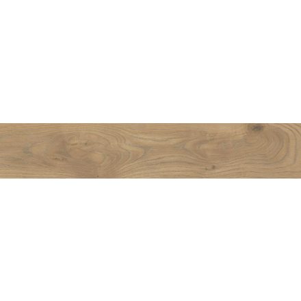 TAIGA HONEY RET (SGR251) 20X120 1.2M2/doboz