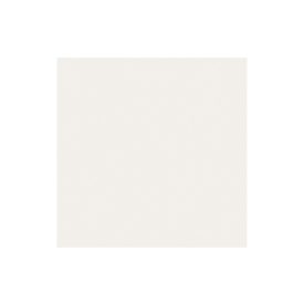   PADLÓLAP DLC - PARIS PR 10 BIANCO 20PR10 /20X20/ 29- 1,16M2/ I.O.